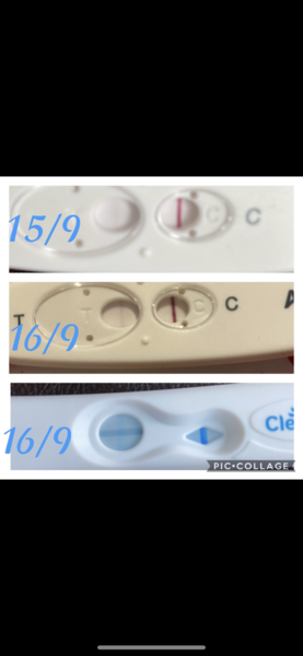 I think I’ve finally got my BFP