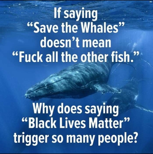 New BF "all lives matter" Me sensitive?