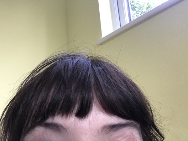 What make up do you use for your brows?