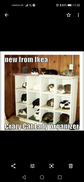 How long do your cats spend asleep in daft places?