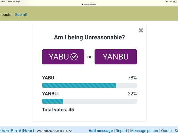 AIBU-I know I am but WWYD. Covid/work related