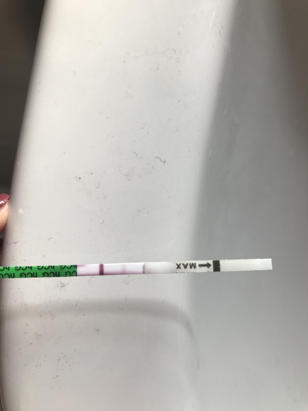 Anyone TTC after stopping the pill?