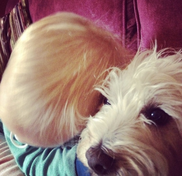 Safely into a frugal September saving as we go...