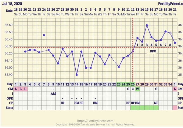 Did I fail to ovulate again?