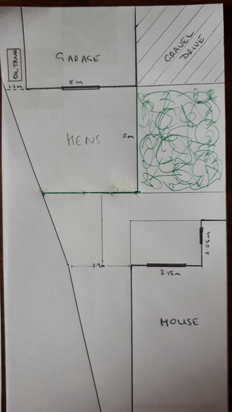 Front garden - paving, fencing, hens.