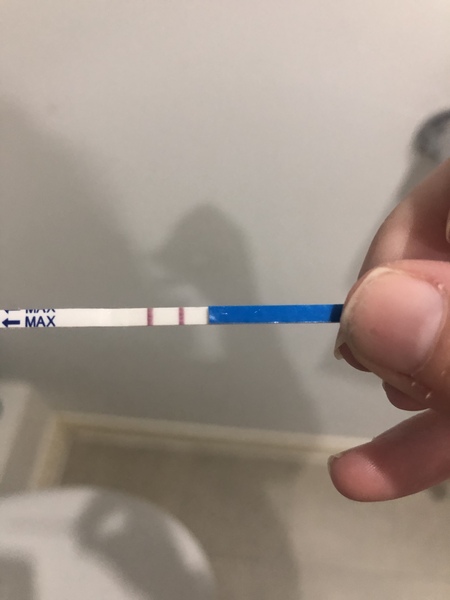 BFP rainbow babies