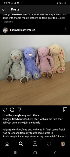 To ask if any of you have this Jellycat?