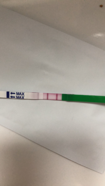 Ovulation test help!