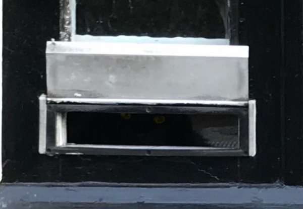 Cat TV