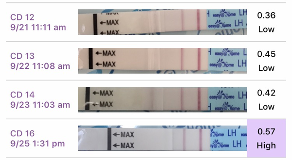 Those that use Premom OPKs - do these look normal?