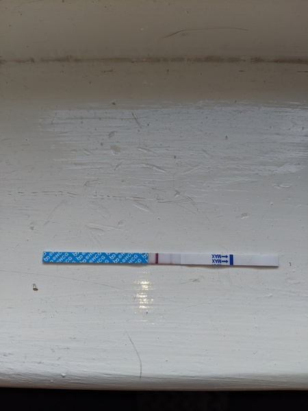 Help... BFN on test yesterday then found it today and is positive??