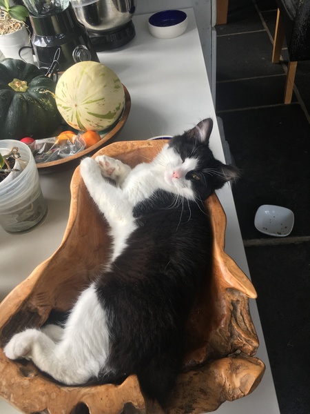 It’s his fruit bowl now isn’t it.