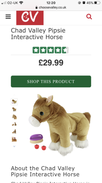 Help! I need a Pipsie interactive horse!
