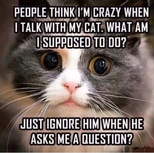 How about a funny thread?