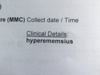 Hyperemesis Support