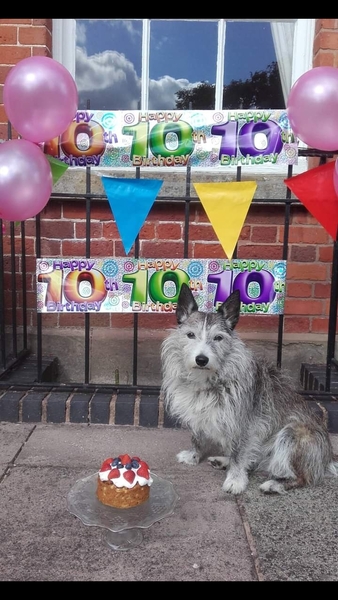 For thinking my neighbours should not be buying her dog birthday presents ?