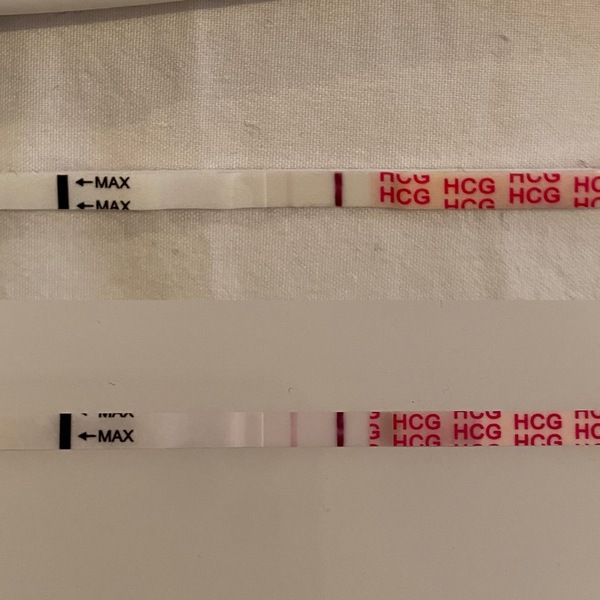 TTC after a chemical pregnancy / early miscarriage