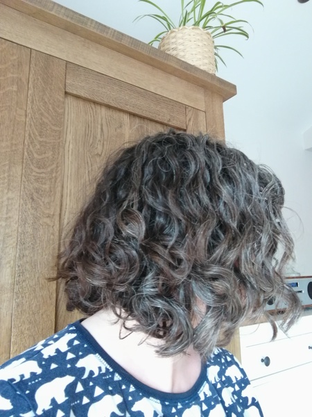 ➿ Fantastic Haircare: Making Sense and Science of the Curly Girl Method (thread 2)