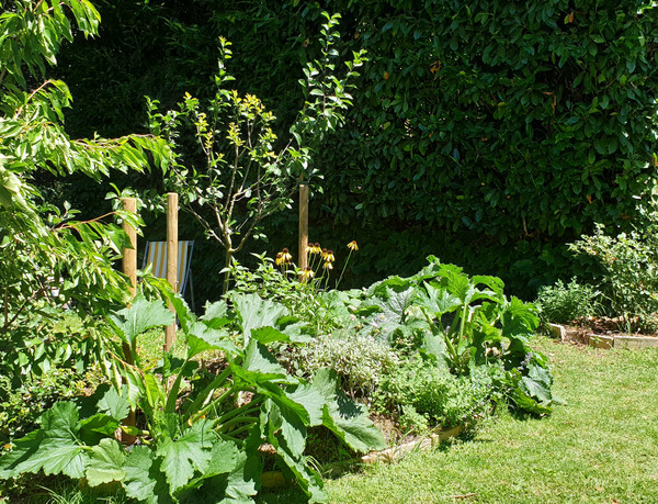 Cottage garden?