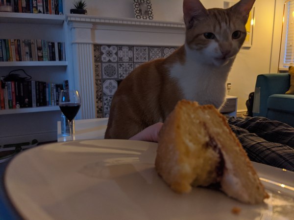 Have you ever watched a kitten try to eat a Wotsit