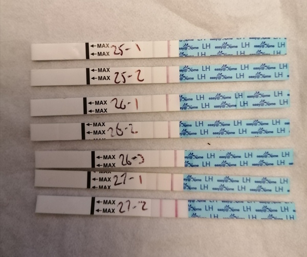 Conception:  TTC Baby no1. The crazy lot. Thread 3!!!