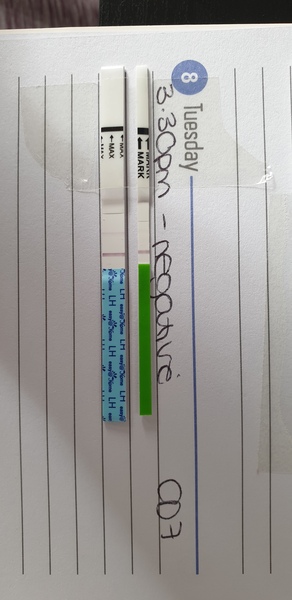 Preconception planners - still planning