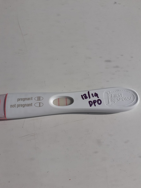 Newly Pregnant Club