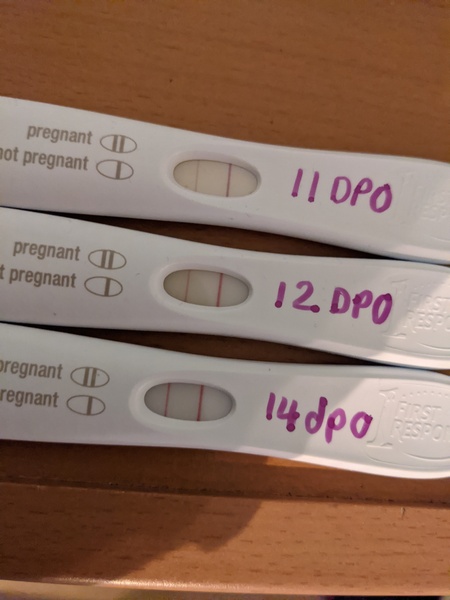 Tracking your cycle and possible BFP using RHR - part 3