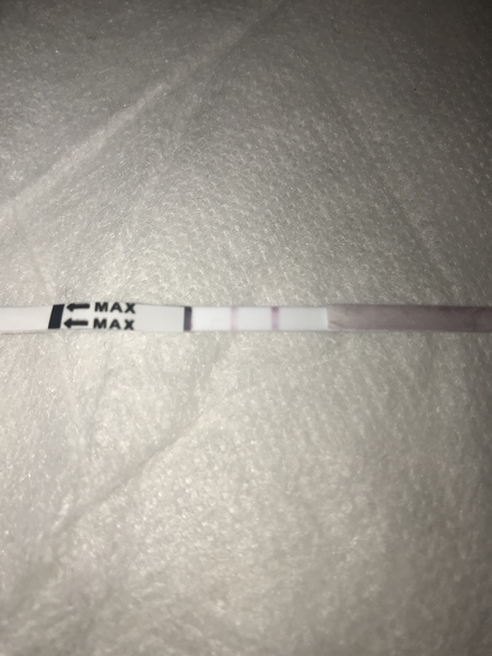 Did I skip ovulation this month?!