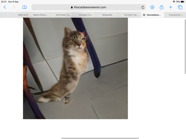 To think I have stumbled across the creepiest website ever?