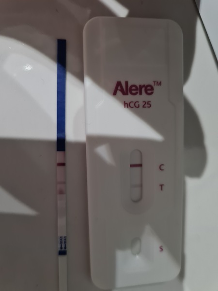 Sept IVF/FET Part 2