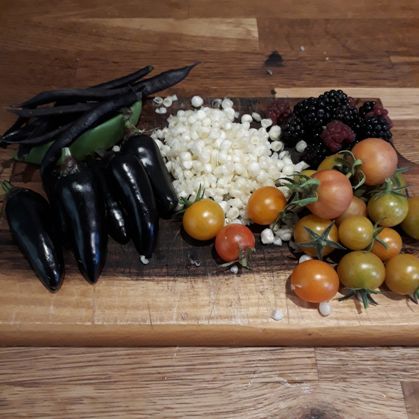 Allotment/Veg Patch Thread 16  Weather weirdness prevails !