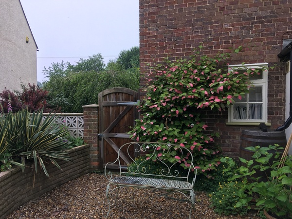 Small outside space and no idea where to start