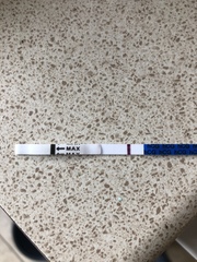 Opinions on test plz