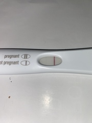 Tracking your cycle and possible BFP using RHR - part 3