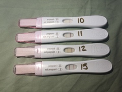 TTC after MC - September 2020 (Thread 13)