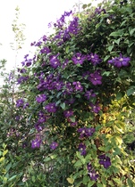 Show Us Your Pictures 4