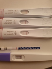 Newly Pregnant Club