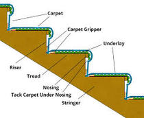 Carpet dilemma