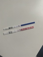 BBT still above coverline after bleed. Help?