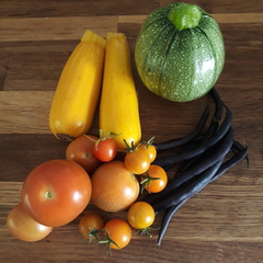 Allotment/Veg Patch Thread 16  Weather weirdness prevails !