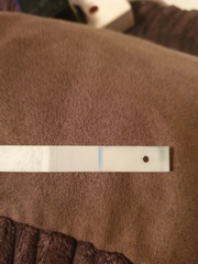 16 DPO And faint line, could it be?! Picture!