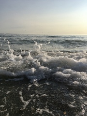 Any Witches Here? Part 12.