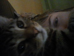 Kitten love when I was upset