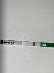 Evap line?
