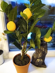 August Always Adds Pocket Pressure, Frugal Friends Thrive Thriftily