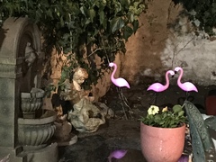 Cancer support thread # 75 - come on in!