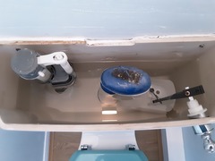 Toilet flush issues