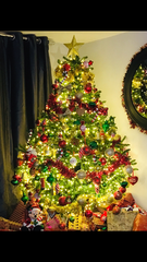 Help me find a new (perfect) Christmas tree?!