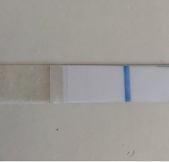Ovulation.. lets go again !